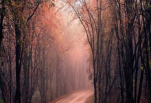 金年会:西甲第10輪馬德裏競技2-2皇家社會 伊薩克傳射蘇亞雷斯梅開二度.